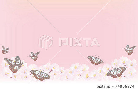 桜とアサギマダラ背景-ピンク 74966874