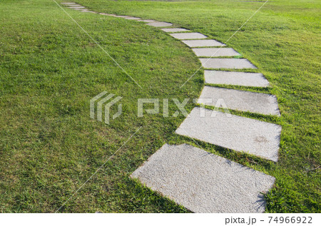 公演の芝生の中の飛び石通路の写真素材