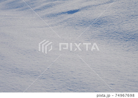 雪に覆われた大地 74967698