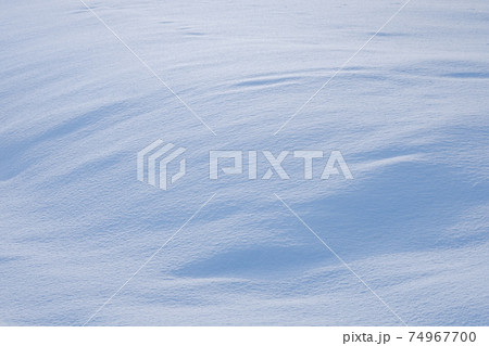雪に覆われた大地 雪に覆われた大地 74967700