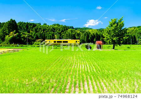 千葉県 いすみ鉄道　小さな祠と気動車（大多喜－小松谷） 74968124