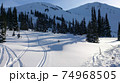 <whistler> 争奪戦 74968505