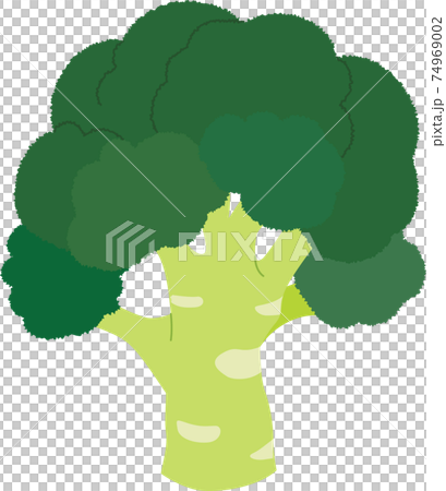 シンプルなブロッコリーのイラストのイラスト素材