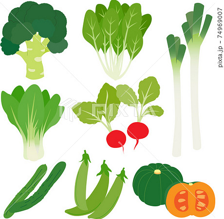 色々な野菜のイラスト カラー のイラスト素材