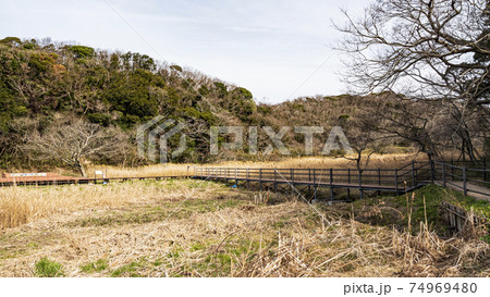 湘南三浦半島の神奈川県三浦市小網代の森 湘南三浦半島の神奈川県三浦市小網代の森 74969480