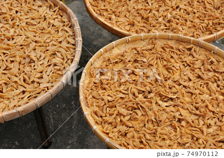 台湾 写真撮影 撮影 74970112