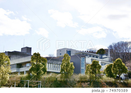 多摩美術大学 74970389