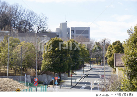 多摩美術大学 74970398