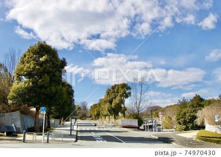 多摩美術大学 74970430