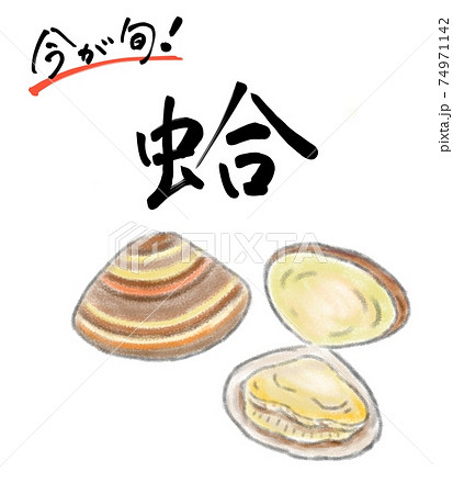 蛤の手描きイラスト 74971142