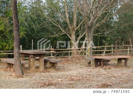 森林公園の椅子とテーブル 森林公園の椅子とテーブル 74971592