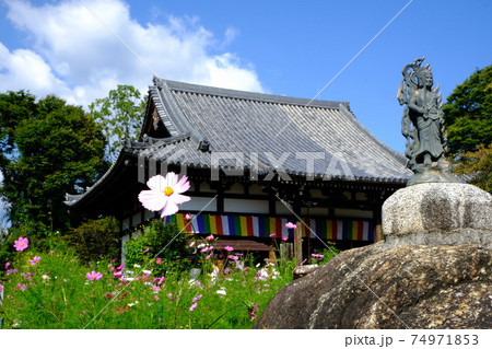 古都奈良の般若寺 カンマン石に祀られた不動明王像 古都奈良の般若寺 カンマン石に祀られた不動明王像 74971853