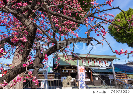 名古屋三天神のひとつ、山田天満宮〈愛知県名古屋市〉 74972039