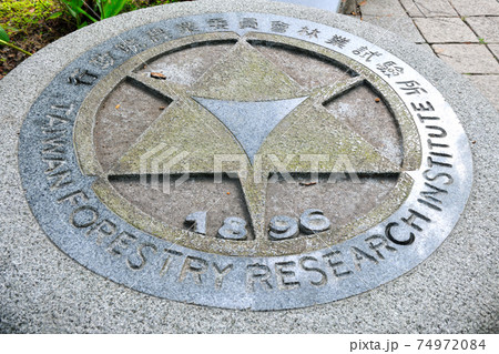 台湾 写真撮影 撮影 74972084