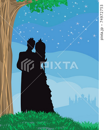 Magic castle and princess with prince 74972753