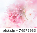 花 フラワー お花 74972933