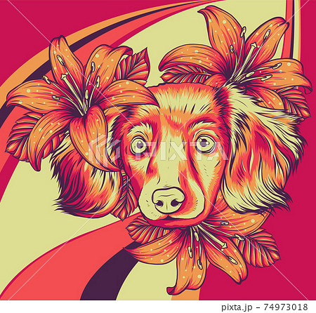Portrait of a Spaniel dog in a flower head wreath. Vector illustration. Portrait of a Spaniel dog in a flower head wreath. Vector illustration. 74973018