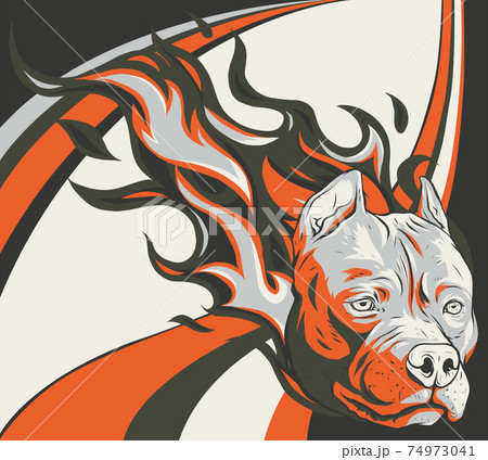 head of dog pitbull with flames vector head of dog pitbull with flames vector 74973041