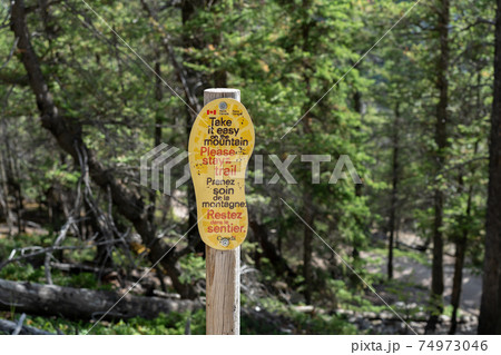 Stay on trail sign signpost at Tunnel Mountain Trail. Banff National Park, Canadian Rockies. Stay on trail sign signpost at Tunnel Mountain Trail. Banff National Park, Canadian Rockies. 74973046