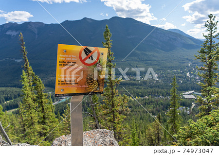 Needles of five, keep it alive warning sign signpost at Tunnel Mountain Trail. Banff National Park, Canadian Rockies. Banff, Alberta, Canada Needles of five, keep it alive warning sign signpost at Tunnel Mountain Trail. Banff National Park, Canadian Rockies. Banff, Alberta, Canada 74973047