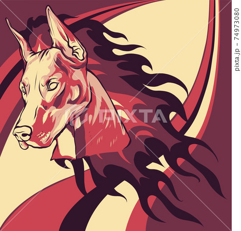 head of dobermann dog with Flames vector illustration head of dobermann dog with Flames vector illustration 74973080
