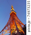 夕暮れの東京タワー 74973235