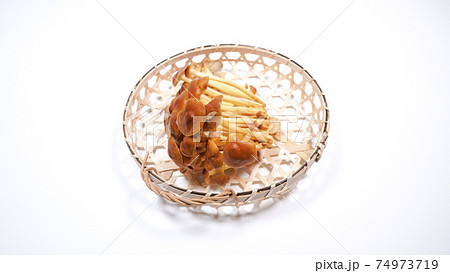 野生種エノキタケ　白背景 74973719