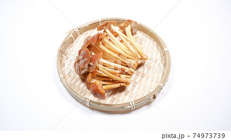 野生種エノキタケ　白背景 74973739