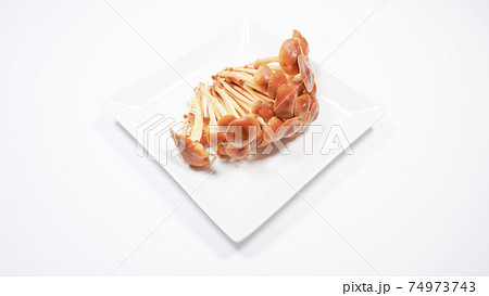 野生種エノキタケ　白背景 74973743