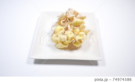 新鮮なたもぎ茸　白背景 74974386
