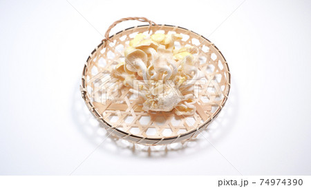 新鮮なたもぎ茸　白背景 74974390