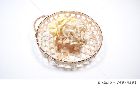 新鮮なたもぎ茸　白背景 74974391