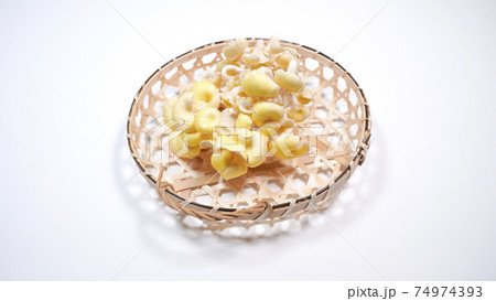 新鮮なたもぎ茸　白背景 74974393