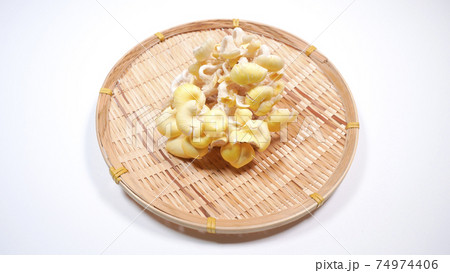 新鮮なたもぎ茸　白背景 74974406