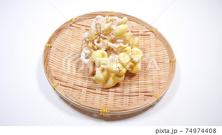 新鮮なたもぎ茸　白背景 74974408