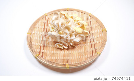 新鮮なたもぎ茸　白背景 74974411