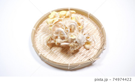新鮮なたもぎ茸　白背景 74974422