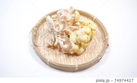 新鮮なたもぎ茸　白背景 74974427