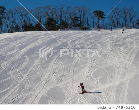 白馬岩岳スノーフィールド かもしかレーシングコースを滑るスキーヤー 白馬岩岳スノーフィールド かもしかレーシングコースを滑るスキーヤー 74975216