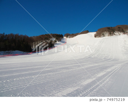 白馬岩岳スノーフィールド　ビッグバーン 74975219