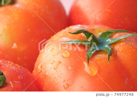 fresh tomato with water drop close up fresh tomato with water drop close up 74977248