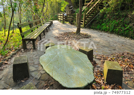 台湾 林 森 74977312