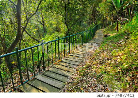 台湾 フットパス 小道 74977413