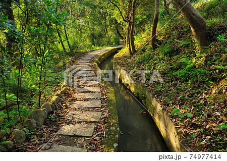台湾 フットパス 小道 74977414