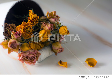 バケツに入った薔薇のドライフラワー バケツに入った薔薇のドライフラワー 74977442