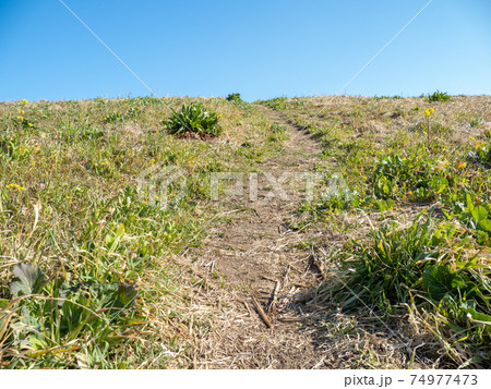 青空の茨城県境町の河川敷 青空の茨城県境町の河川敷 74977473