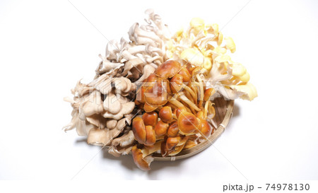 たくさんのきのこ　白背景 74978130