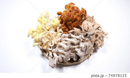 たくさんのきのこ　白背景 74978135