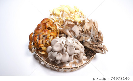 たくさんのきのこ　白背景 74978140