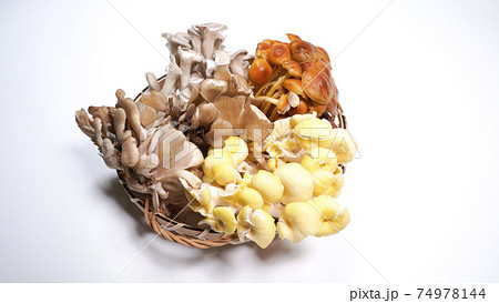 たくさんのきのこ　白背景 74978144